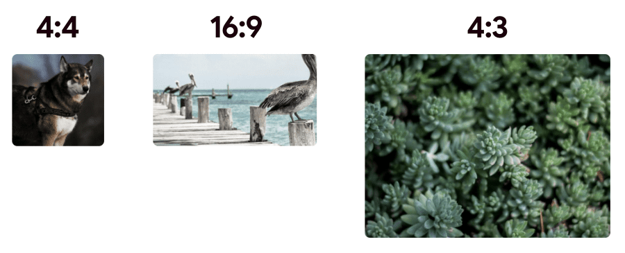 Obok innych używanych proporcji obrazu, czyli 16:9 i 4:3, wyświetla się pole o proporcjach 4:4.