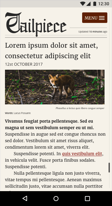 Esempio di articolo caricato.