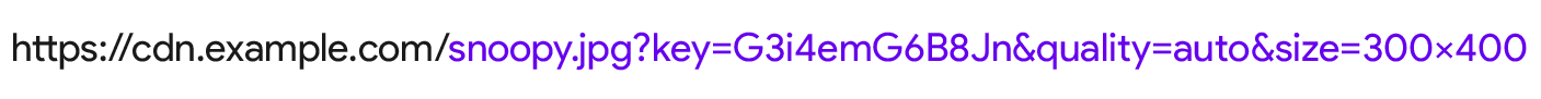 یک URL از CDN تصویر با پارامترهای size=300x400 و quality=auto.