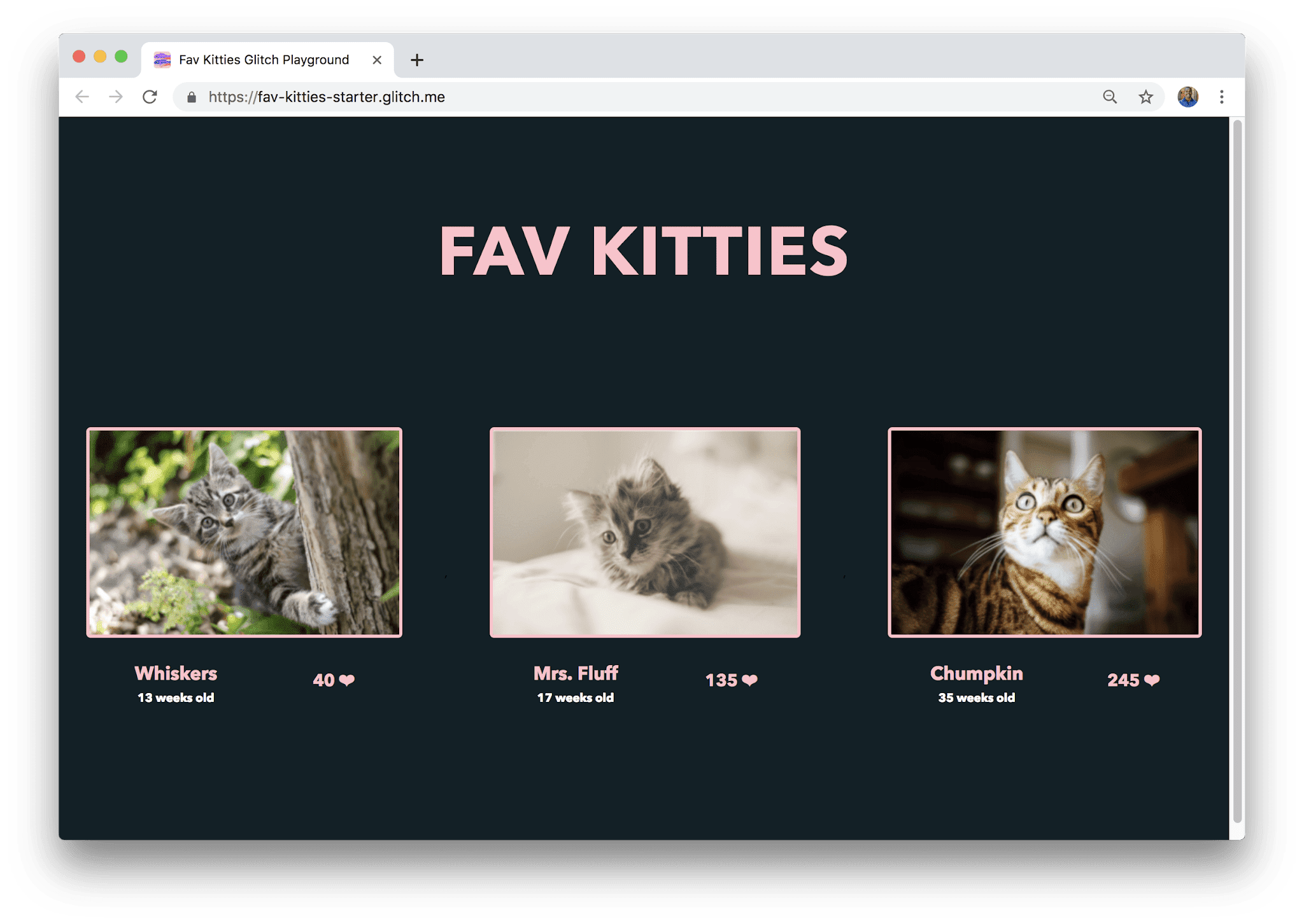App zum Abstimmen über Katzen